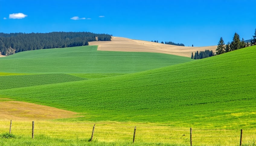 Financing Options for Oregon’s Sustainable Businesses