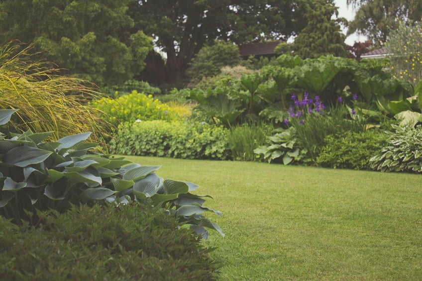 How Business Loans Cultivate Success for Lawn Care Service Companies